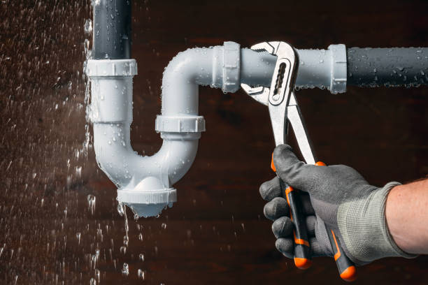 Professional Plumbing technician working in Otter Lake, MI